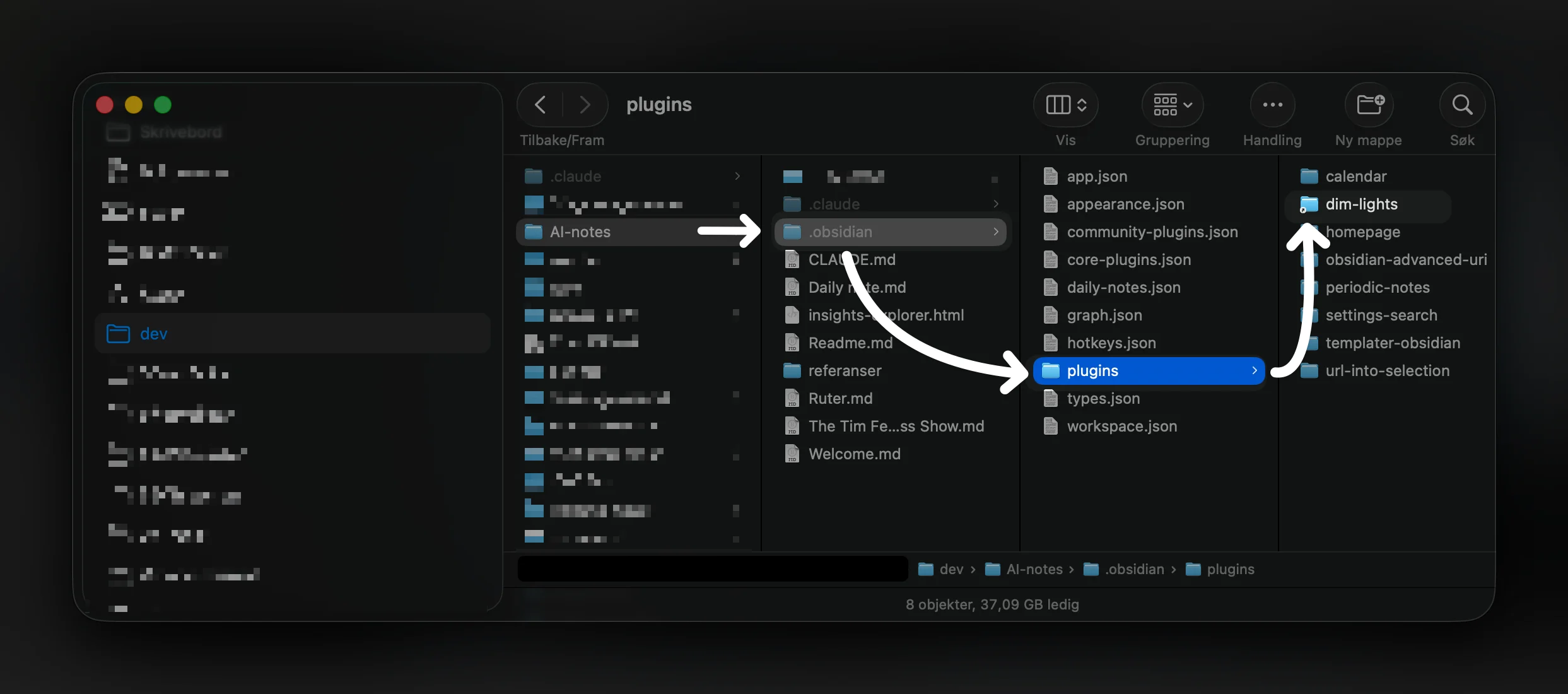 dim-lights-plugin-path